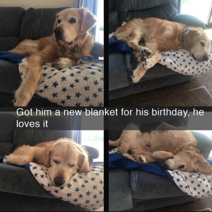 15. This cutie isn't parting with this blanket any time soon