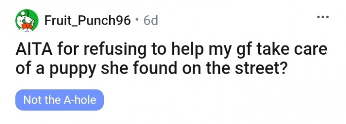 Is this Redditor the AH for refusing to help a rescued puppy?