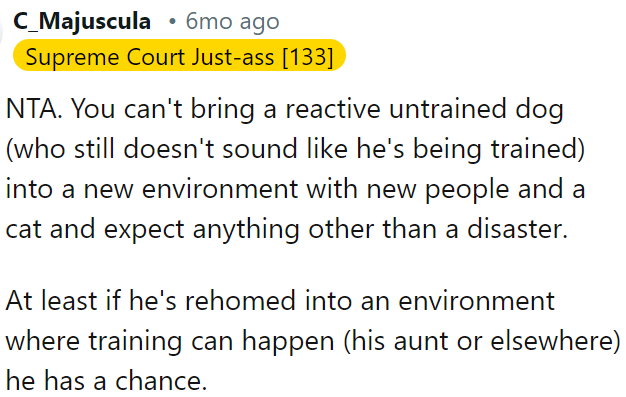Bringing an untrained dog into a new environment with people and a cat is a recipe for disaster.