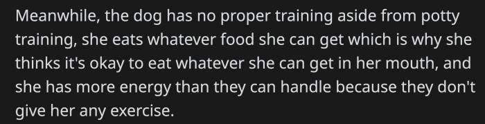 But they couldn't handle the dog properly