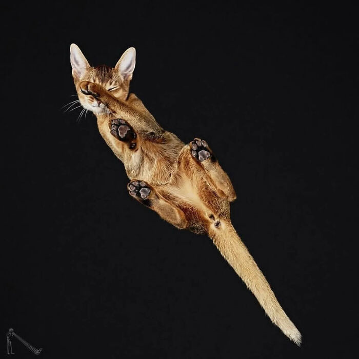 28. “When the paparazzi catch you mid-nap and you just can’t deal.”