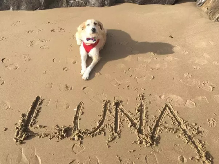 Here is another picture of Luna