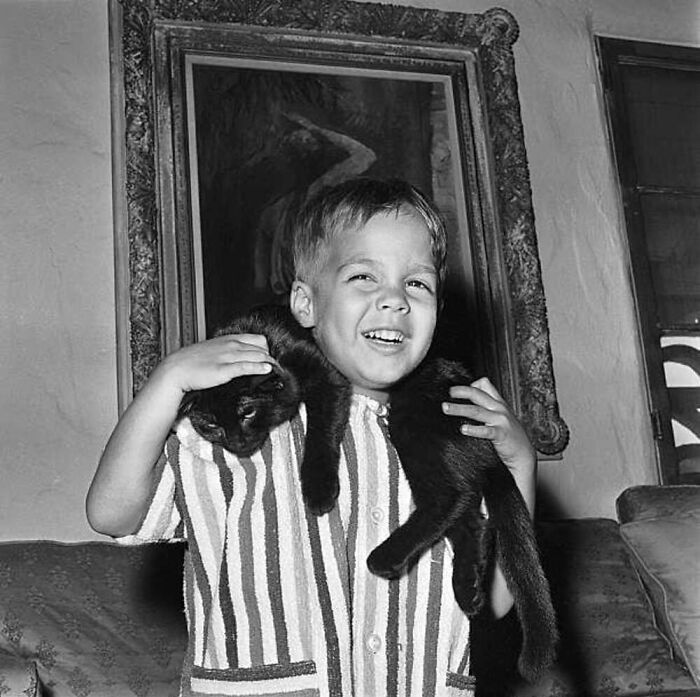 7. A Happy Little Boy and One Unimpressed Kitty.