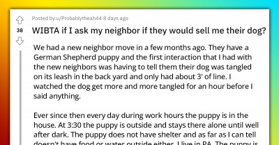 Redditor Asks If It Would Be Out Of Line If They Asked Neighbors To Sell Them The Dog They Don’t Really Care About