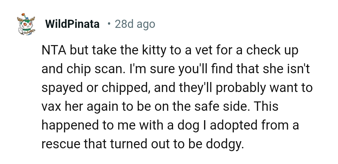 She isn't spayed or chipped