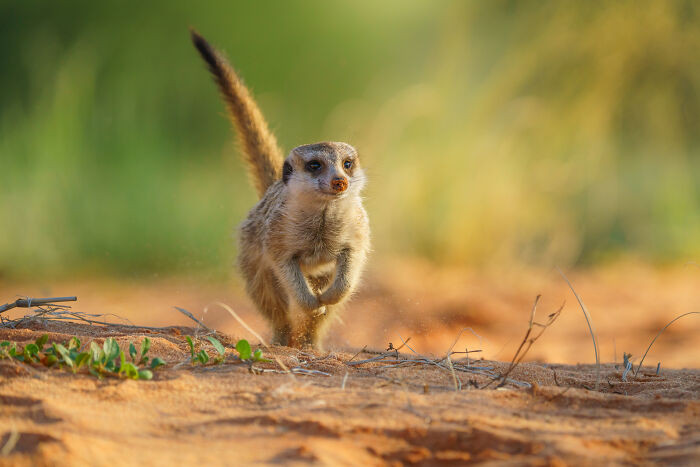 "Yeah, I’m Coming, Mom!"