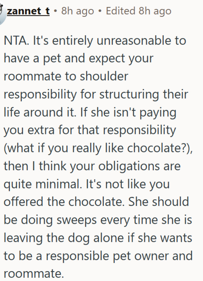 Having a pet doesn't mean your roommate has to babysit it