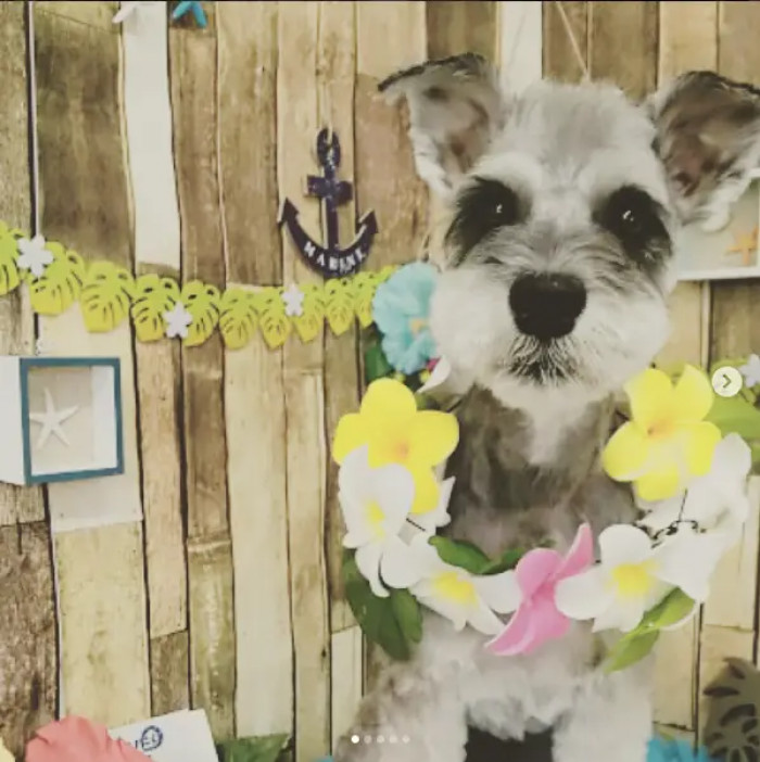 16. Life of the party