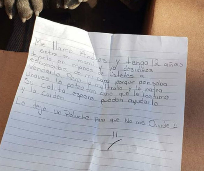 A letter was left with the puppy. Nothing else was discovered about the kid who brought him to the shelter, except that he was a 12-year-old boy named Andrés from Mexico.