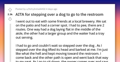 Redditor Confronted By Fuming Dog Parent After Stepping Over Pooch To Reach The Restroom