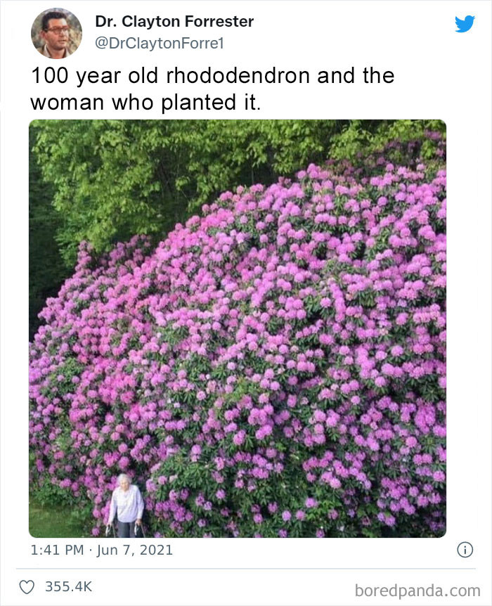 5. The masterpiece and its master