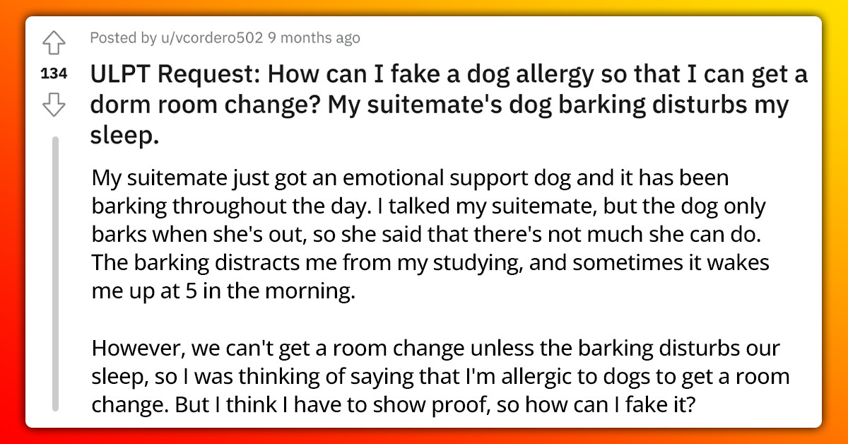 Redditors Offer Jawbreaking Tips To Lady Seeking To Fake Dog Allergy So As To Be Away From Suitemate’s Dog
