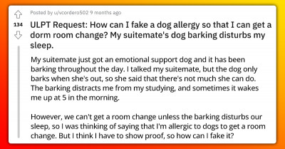 Redditors Offer Jaw-Dropping Tips To Lady Seeking To Fake Dog Allergy So As To Be Away From Suitemate’s Dog