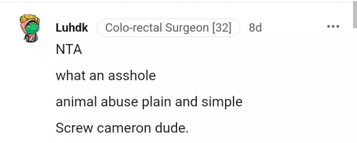 This is simply animal abuse