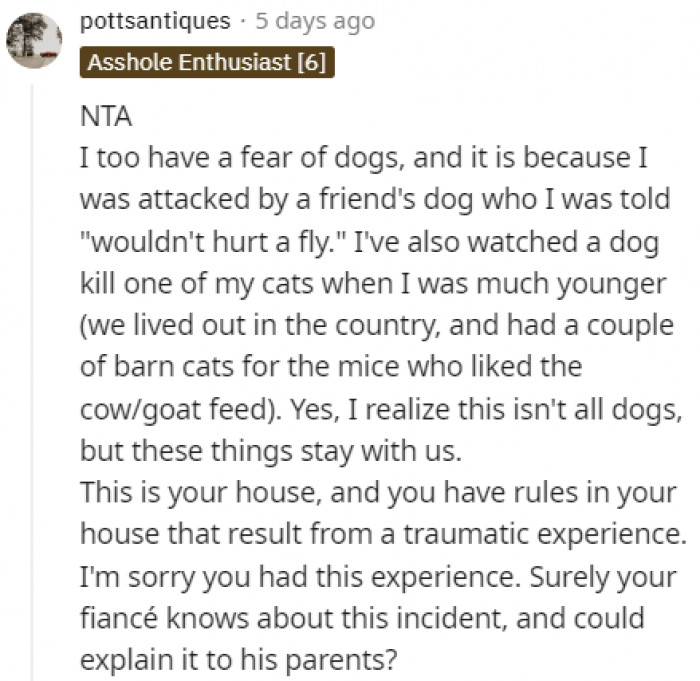 It's hard to recover from a traumatic experience, and just one dog attack can change your mind about them forever.