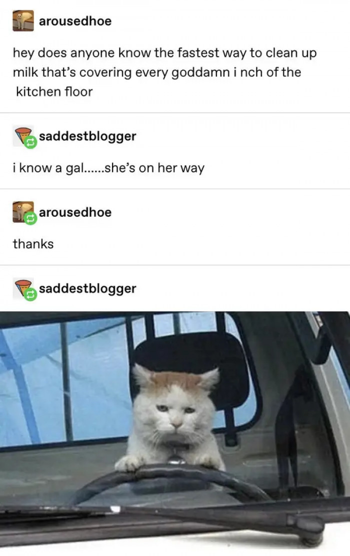 13. If you want a solution to the mess caused by spilled milk