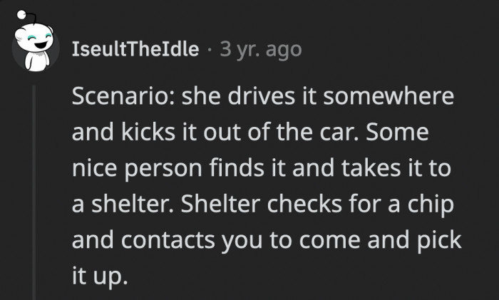 This is one of the scenarios that could happen, and having the cat microchipped could lessen the chances of her not being returned
