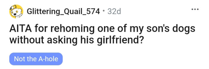 Here's The Story's Title