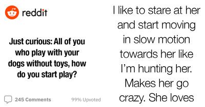 Redditors Share How They Initiate Play With Their Dogs Without The Use Of Any Toys, And They Are All So Wholesome