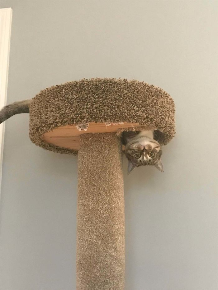 15. "Pssst!...Can you see me now? I'm right here!"