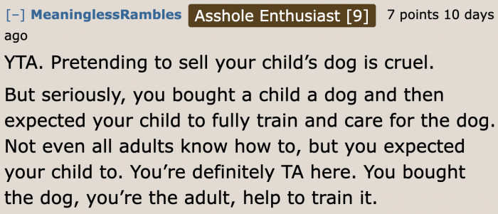 If you don't know how to care for a dog, then there's no way your child would know it.