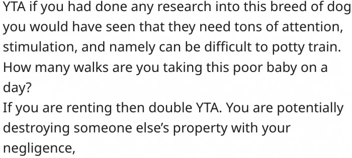 13. Researching the breed beforehand could have revealed that Pomskys can be difficult to potty train.