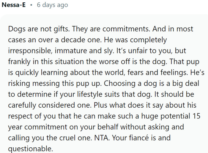 Dogs are not gifts, but decade-long commitments