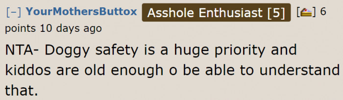 When It Comes to Dogs, Safety Is Always Important.