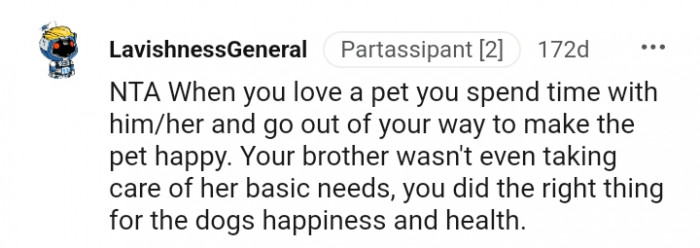 9. Your brother wasn't taking care of the dog