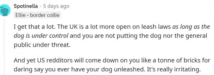 The UK has pretty loose leash laws