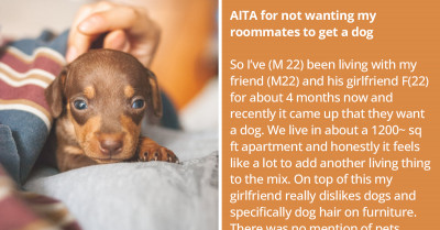 Roommates Cannot Agree On Whether To Get A Dog Or Not, So Redditors Are Introducing Them To Conflict Resolution