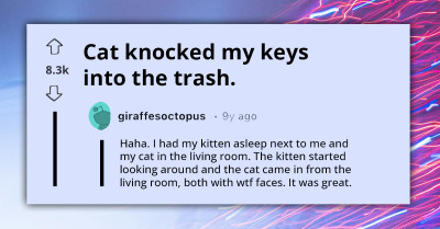 Mischievous Cat Owner Shares How Fellow Pet Owners Can Get Back At Their Cat For Their Playful Shenanigans