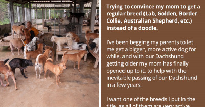 Family Argues Over What Dog To Get Because Mom Wants A Designer Breed