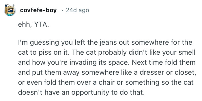 “YTA. I'm guessing you left the jeans out somewhere for the cat to piss on it.”