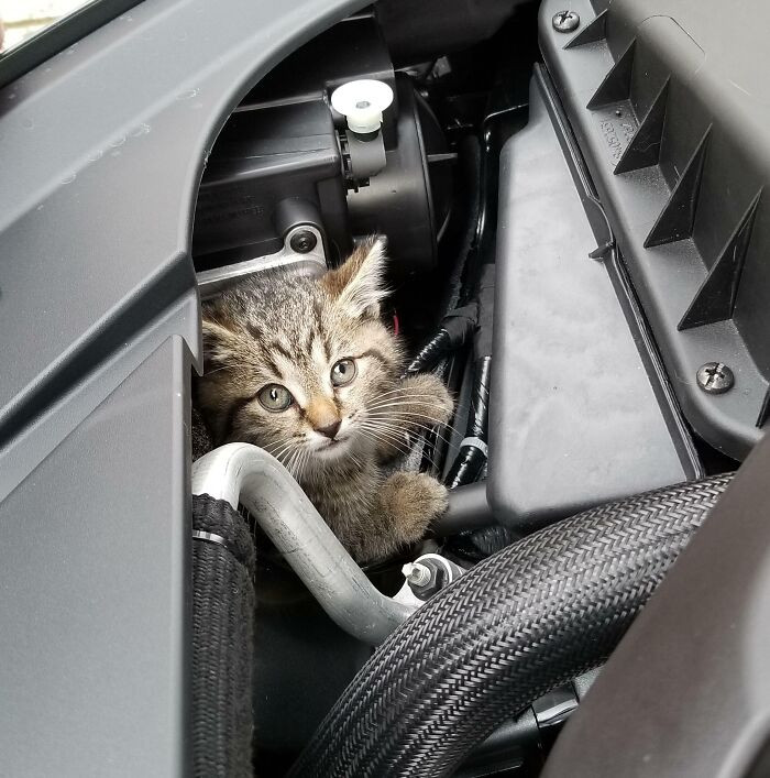 ”Taking A Look Under The Hood”