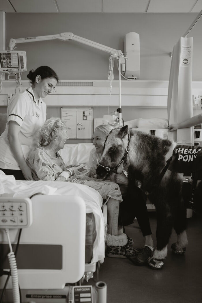 “Therapy Pony” By Bethany Wylie