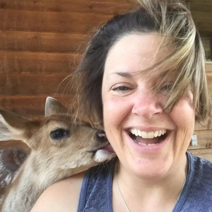 Dawn's connection with Thor has expanded to embrace the entire deer herd, as they have grown comfortable in her presence