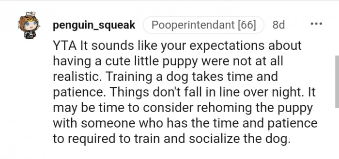 Training a dog takes time and patience