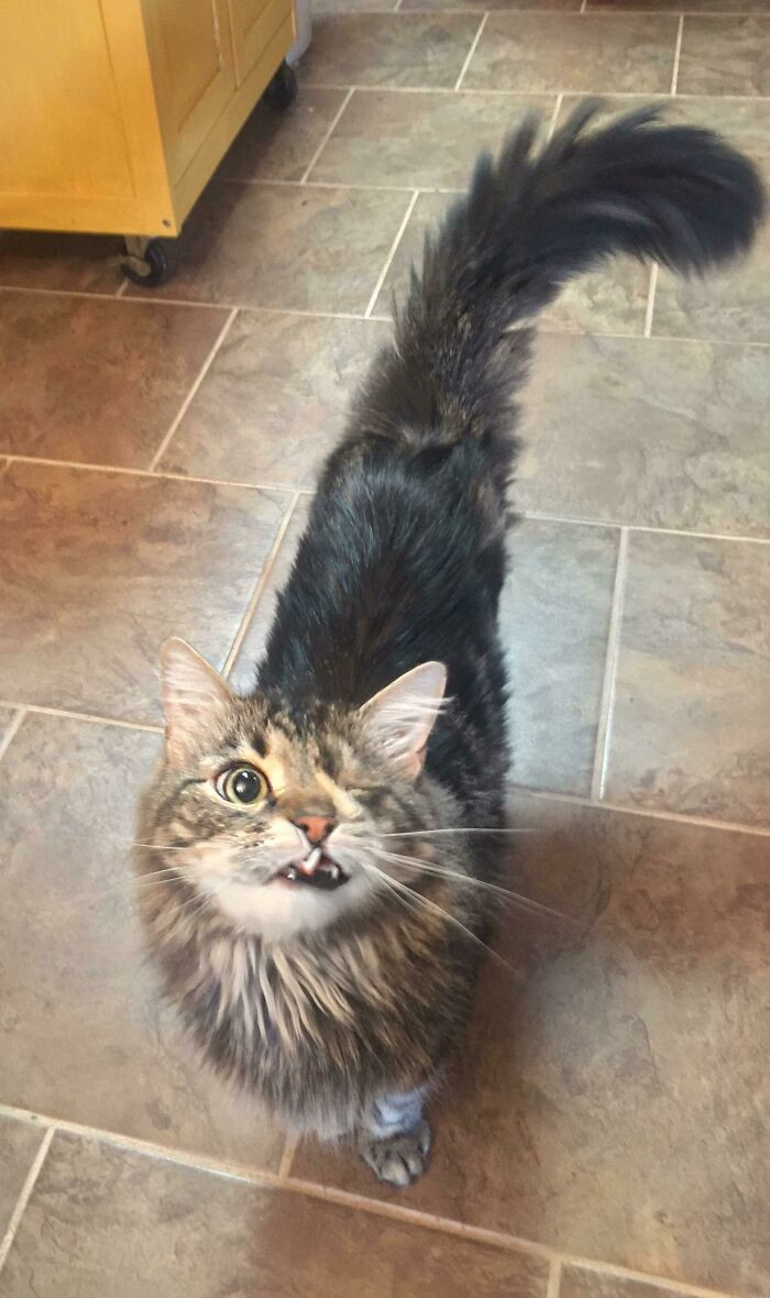 "One-Eyed Willie"