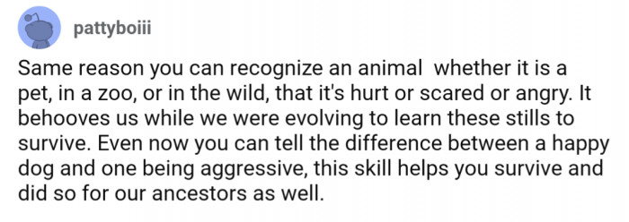 Or that it essentially boils down to body language