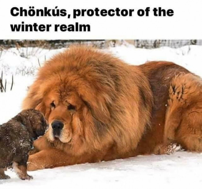 18. A very cute and adorable protector of the winter realm