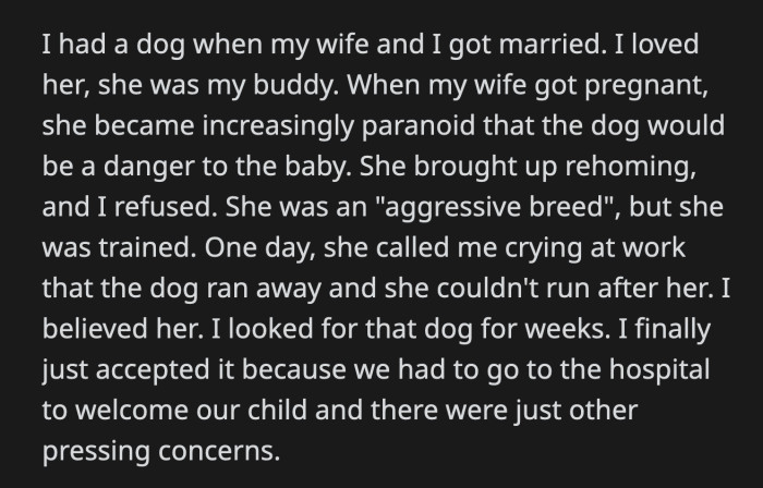 They all agreed that the dog could be dangerous once the baby arrived. OP was furious.
