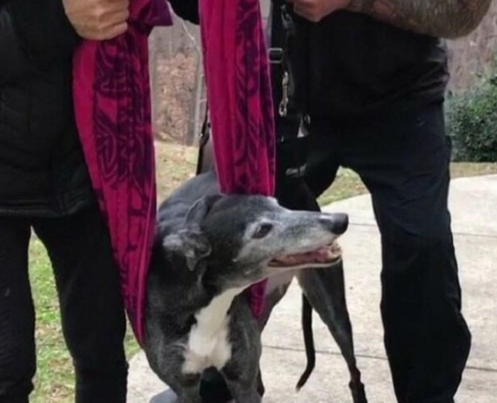 Hearing the Bad News