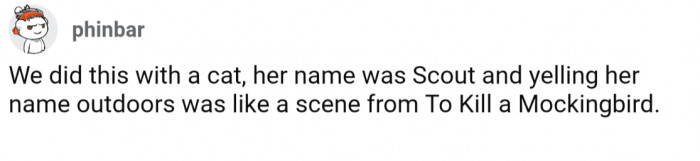 18. Scout drawing likeness to being in "To Kill A Mockingbird"