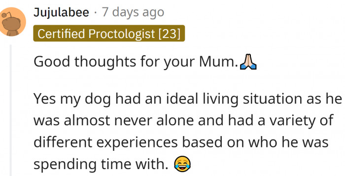 One Redditor shared: