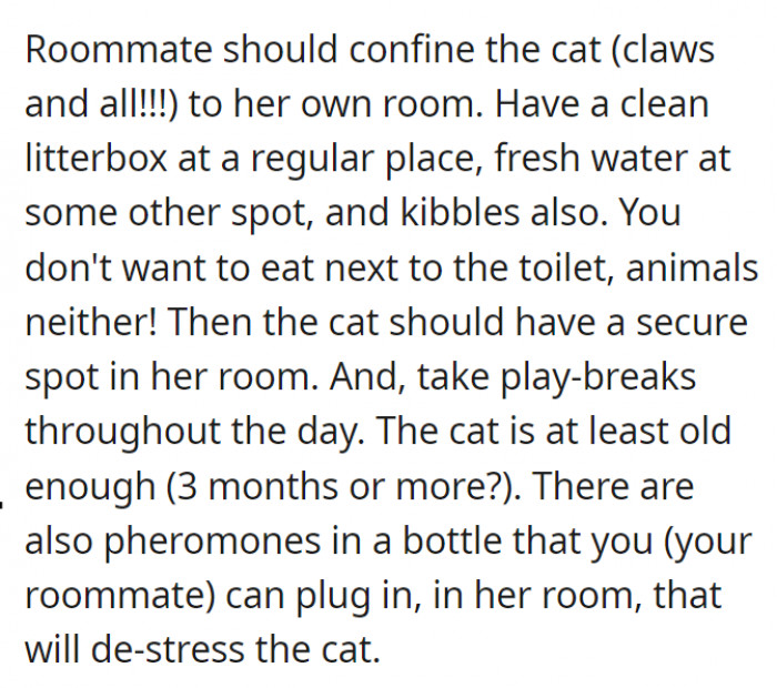 Maybe the cat should be confined