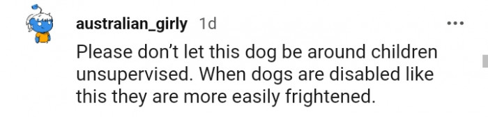 11. Disabled dogs are more easily frightened