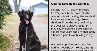 Redditor Plans On Keeping Her Ex's Dog Because Their Current "Joint Custody" Arrangement Is Stopping Her From Moving On