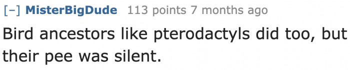 Pterodactyls may have wings. But they're reptiles, so there's no way they can be the ancestors of birds.