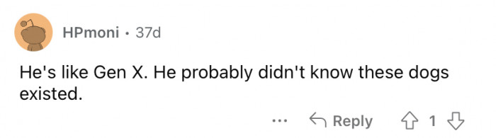 We're feeling personally attacked at this comment.